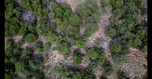 Island, Ocean, Coast. Free Stock Video