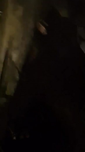 Hamer area of Dillon County! | Tonya Brown