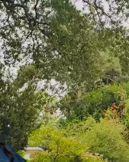 These days there are many options that can help grow your money while protecting it from market losses. | Prudential