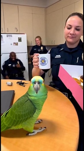 279K views · 7.7K reactions | Parrot & Cops – Money, Mattress, and a Missing Husband #parrot #cops #funnypets #funny #police #funnyvideos #talkingparrot #funnyreels #ParrotComedy #parrotroastingcops | Parrot & Cops | Facebook