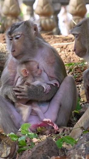 Parents are always by your side, never far away