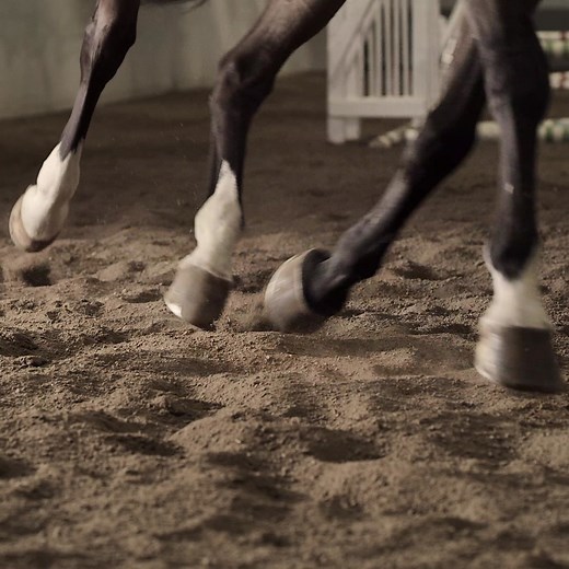 Working horses can recover with ease — no sweat on your part. Purina® RepleniMash™ product promotes hydration, replenishes electrolytes and supports gastric comfort. | Purina Horse Feed