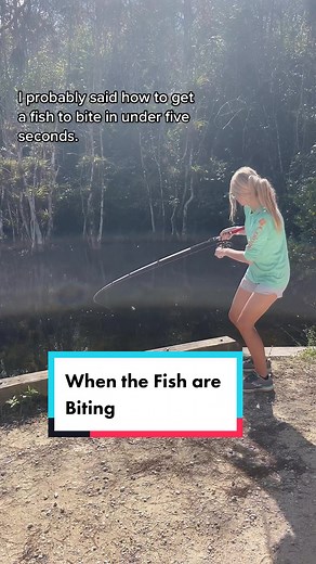 Quick Tips for Fishing Success in the Everglades