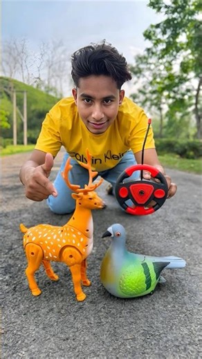 OMG! Rc Birds WITH Rc Deer Ki Unboxing🦌