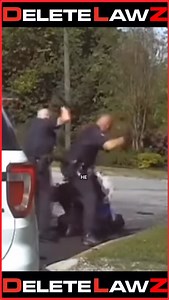 1.3K reactions · 20 shares | It’s just a few bad apples. They don’t all take training courses on how to beat you with a stick; only 99% of them. | Chille DeCastro | Facebook