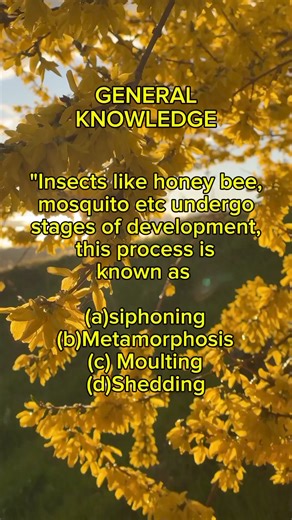 12K views · 389 reactions | GENERAL KNOWLEDGE "Insects like honey bee, mosquito etc undergo stages of development, this process is known as (a)siphoning (b)Metamorphosis (c) Moulting (d)Shedding" #reelsfypシ2023 #reelsfbviral #reelsfb #reelsfacebook #reelsviral #reelsinstagram #reelschallenge #quiztimechallenge #quiz #generalknowledge | QUIZ ZONE | Facebook