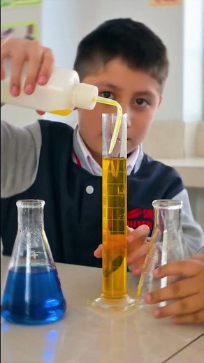 Saco Oliveros | Educación integral y becas de hasta 50% para tu hijo