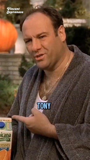 Marrying Tony Soprano Felt Real to Edie Falco #tonysoprano #jamesgandolfini #shorts