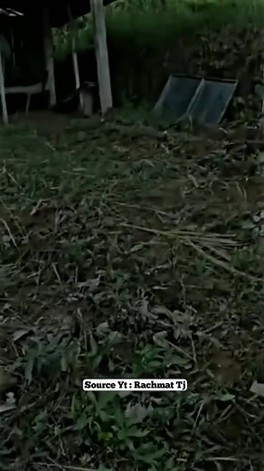 ditengah hutan kesasar nemu cewe cantik #motovlog #fyp #fypシ #fypシ゚viral #fypage #trending