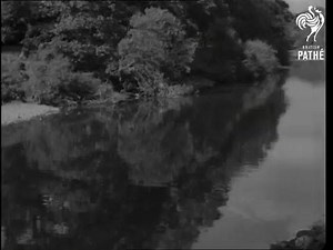 12K views · 91 reactions | How was Wensleydale Cheese made in 1941? We see how in this British Pathé film from the time. | Yorkshire Post | Facebook