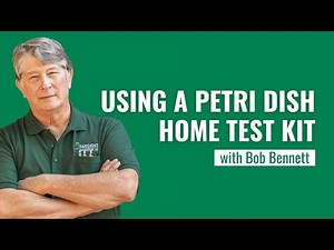 Home Mold Test Kits Part 2: Petri Dish Sampling