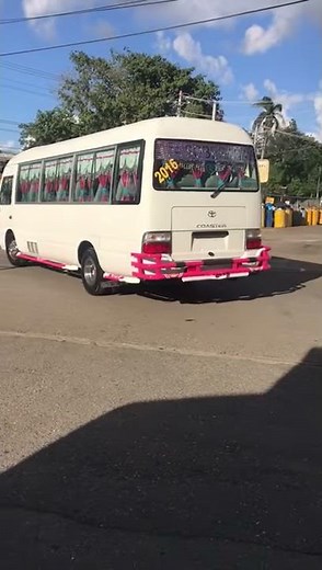 Guagua Toyota Coaster Una de Las Primeras Rosadas de Neyba - Santo Domingo (Guaguas)