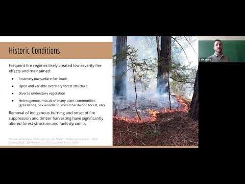 Studying Prescribed Fire Effects in Coast Redwood Forests