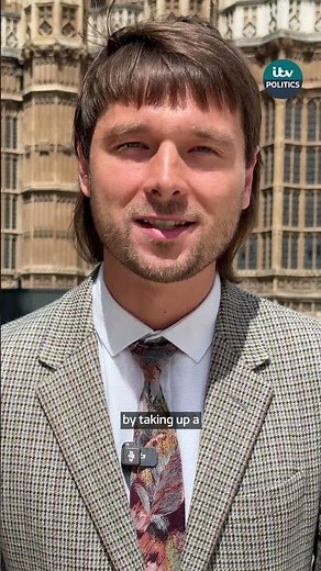 Why has an ex-MP been appointed to the Three Hundreds of Chiltern?