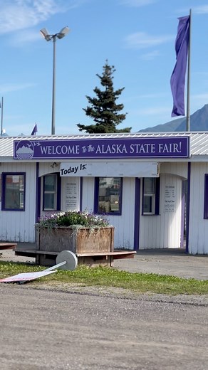 ALASKA STATE FAIR begins tomorrow! Friday 11am. 🛷 🐶 our booth is near the Purple Gate on the Miners Loop! Mach 10s litter will be there and we might even have a second litter from our friends at The August Fund! 🤗 Come meet the dogs and cuddle some puppies! We hope to see you there! Dane and Jaren will be working most of the Fair while Kaci and Alison (Thank you Alison!) provide amazing tours at the kennel in Willow! Matt will be bouncing back and forth. Alaskan Husky Adventures Alaska State 