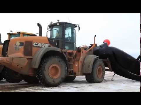 3 Whale Harvest Alaska | Indigenous Whaling