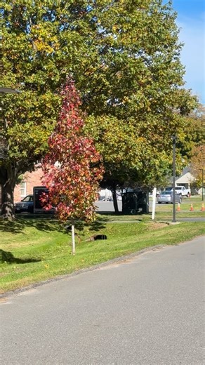 練 Ready, set… RUN! The Kent Pumpkin Run kicks off this Sunday at noon...