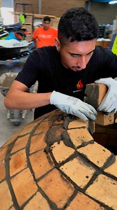 Murex forno Australia | Murex Shields