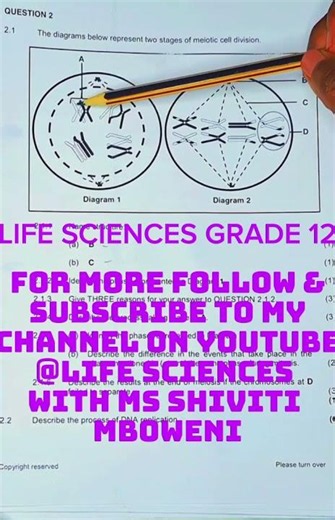 Q&A AND ANSWERS ON METAPHASE AND PROPHASE LIFE SCIENCES GRADE 12