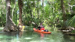 Hidden gem of Rock Springs Apopka, Florida