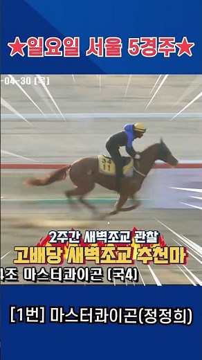 Sunday, May 3rd, Seoul Race 5!! Kang Baek-ho, who trained for 2 weeks, early morning training, So...