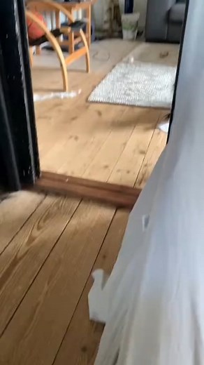 Cat scared farts🐱🐱🐱#pet #cat #funnyvideos #catfunny #kitten #funny | Cute Pet