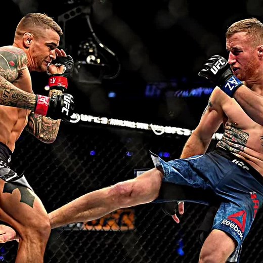 Mixed Martial Arts Highlights: Fighters in the Cage