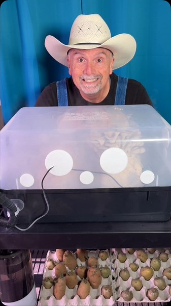 Automated “Boomr Bin” Monotub Grow Kit by North Spore mushrooms | PawPaw Ridge Homestead