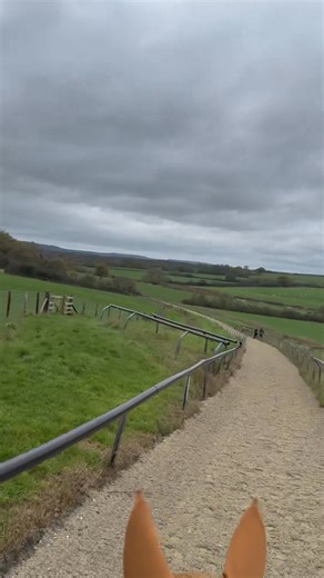 SUNDAY FUNDAY! We had a blast on our mini lorry adventure today... Snail was LIVING IT UP, totally in his element. #gallops #SundayFunday #HorseAdventures #gallopingfitness #supersnail | Sienna Chase Equestrian