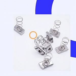 Searching for strut channel spring nuts? Our premium spring nuts are designed to provide a secure and efficient solution for your construction projects. Check them out today! #springnuts | SSHN Industry Group Ltd
