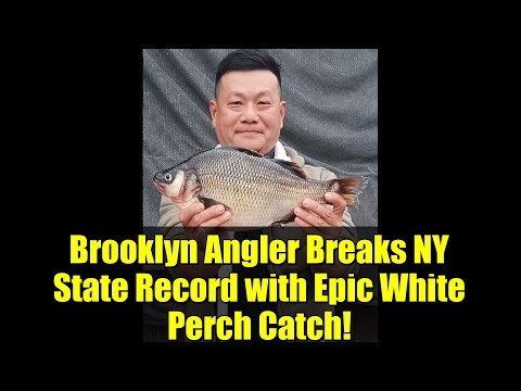 Brooklyn Angler Breaks NY State Record with Epic White Perch Catch!