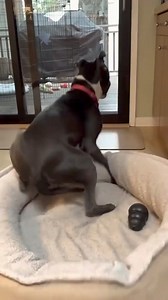 2.2K views · 24 reactions | 6 #creepy #horror #scary #spooky #haunted  #scary #horror #halloween #creepy #spooky | Scary Time | Facebook