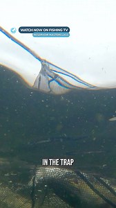 Pike on a tiny buzzer trout fly!? 🧐 - ‘Reservoir Masterclass’ on FishingTV Click the link to watch now! https://www.fishingtv.com/series/reservoir-masterclass/ This brand new series from Fishing TV is an unprecedented and action-packed deep dive into big reservoir fly fishing for Trout. Set on some of the UK's most renowned waters, each episode is hosted by a different elite angler. From lifelong guides and coaches, to world champion fishermen, these masters offer an invaluable insight to the c