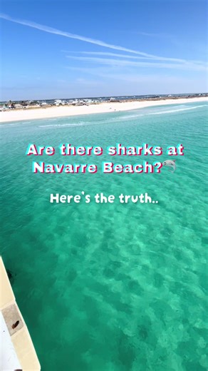 Understanding Shark Presence at Navarre Beach