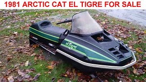 15K views · 82 reactions | 1981 Arctic Cat El Tigre 6000 Vintage...