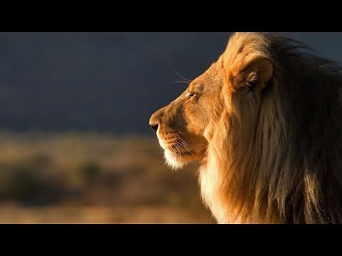 Prophetic intercession | Worship | Ey Yah Yah