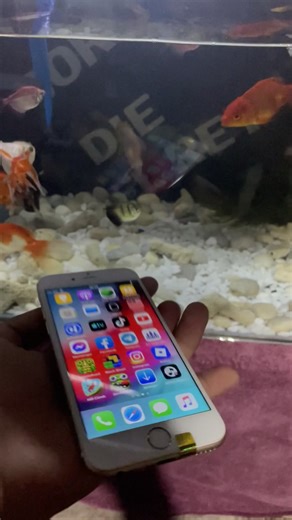 Affordable iPhone 6 Deals at Boranbiyom Store