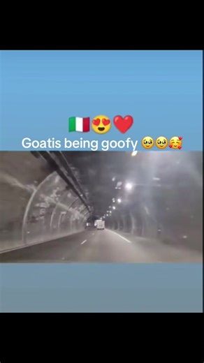 Goatis Being Goofy: Fun Moments Captured