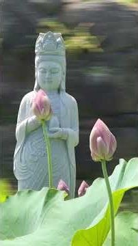 선림사 보현행원 (정율스님)