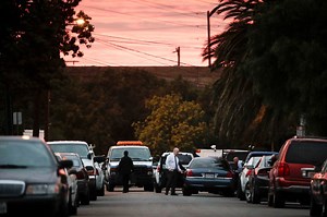 California man accused of murdering ‘Bridalplasty’ reality show contestant Lisa Naegle