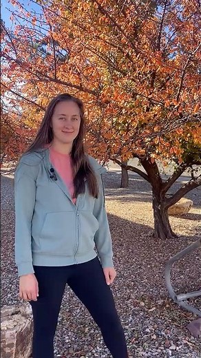 A Pop of Color: Callery Pear (Non-native in Arizona)