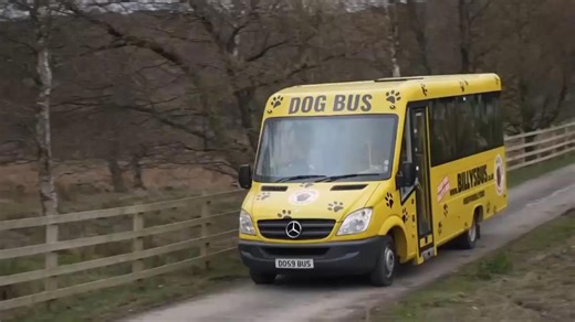 Bark and ride - the canine coach exclusively for dogs