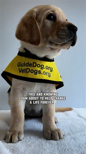 810 reactions · 49 shares | BE A HERO FOR A HERO: RAISE A FUTURE...