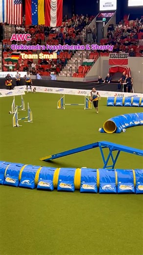 Oleksandra Ivashchenko & Shanty running at AWC 2025 in Small team Germany and finishing 6th with the time 39.91 and 5.5m/s 😍👏 | Agility Dogs World