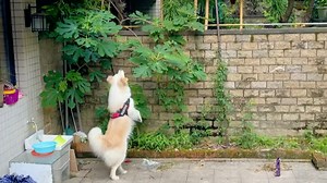 你猜她发现了什么？