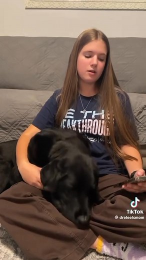 217 WHAT IN THE ROCHESTER: People are throwing and kicking things at a dog?! Do we need to have the football players make some cookies and discuss this issue at a meeting? | 217 Problems