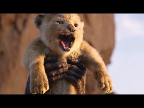 فيلم الاسد الملك