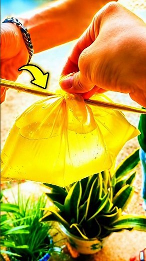 Easy Plastic Bag Knot You Should Know