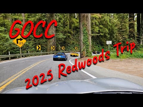 GOCC 2025 Redwoods Trip