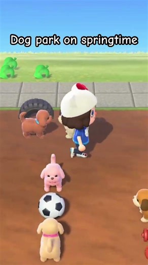 Dog park on springtime #acnh #animalcrossing #gaming #gameplay